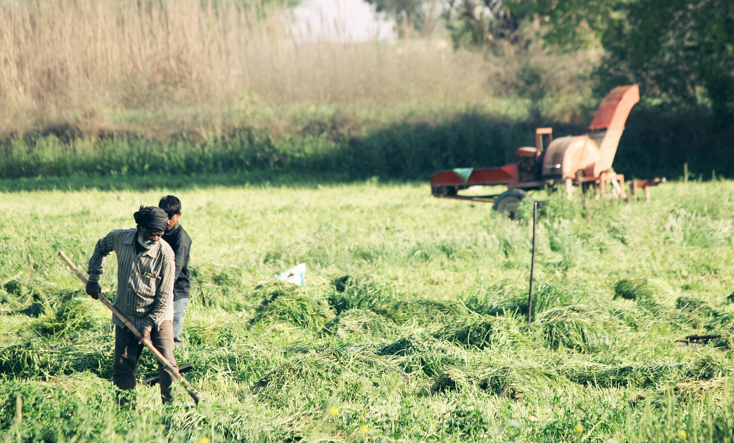 Two Men Standing On Green Grass Field